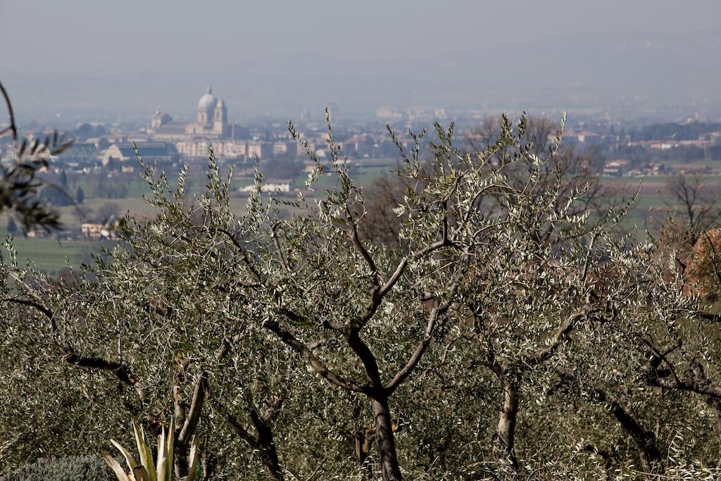 Villa Rosy Assisi Exterior foto